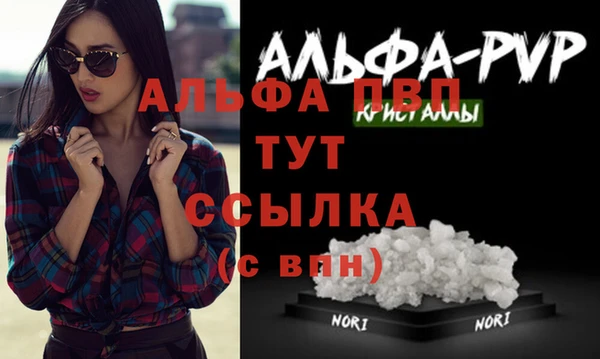 хмурый Ладушкин
