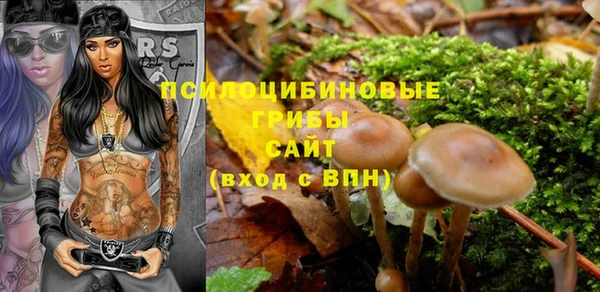 apvp Лагань