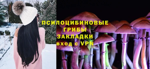 apvp Лагань