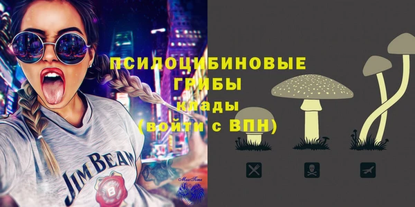 apvp Лагань