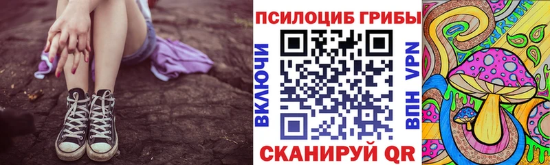 Галлюциногенные грибы мицелий  дарнет шоп  Суздаль 