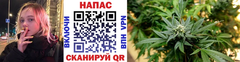 купить закладку  Суздаль  Конопля конопля 